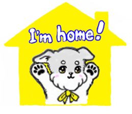 Miniature_Schnauzer sticker #2470822