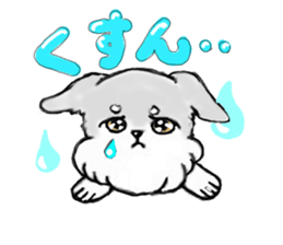 Miniature_Schnauzer sticker #2470833