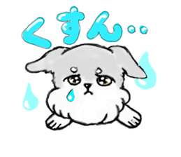 Miniature_Schnauzer sticker #2470833