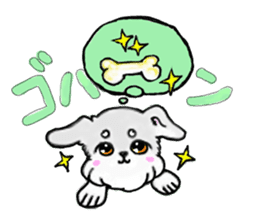 Miniature_Schnauzer sticker #2470838