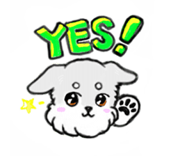 Miniature_Schnauzer sticker #2470839