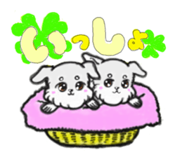 Miniature_Schnauzer sticker #2470847