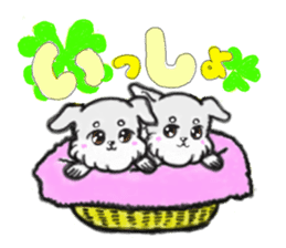 Miniature_Schnauzer sticker #2470847