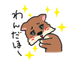 Shiba inu chocolat sticker #2472049