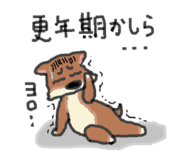Shiba inu chocolat sticker #2472063