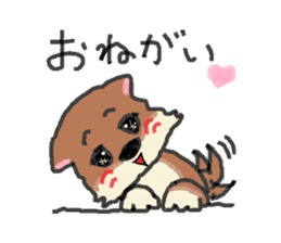 Shiba inu chocolat sticker #2472087