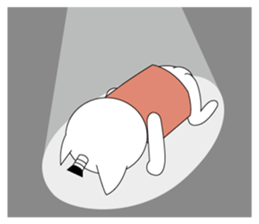 Cat lord sticker #2473041