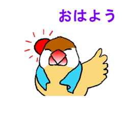 Java sparrows of my family. sticker #2476208