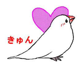 Java sparrows of my family. sticker #2476229