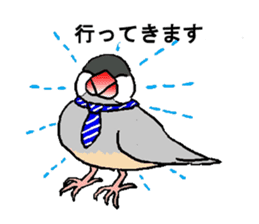 Java sparrows of my family. sticker #2476231