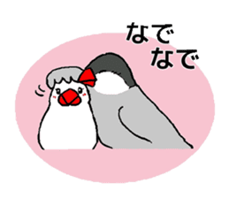 Java sparrows of my family. sticker #2476234