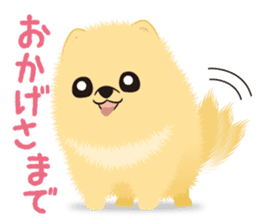 The tiny Pomeranian puppy sticker #2478208