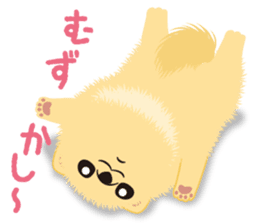 The tiny Pomeranian puppy sticker #2478211