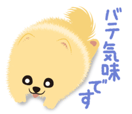 The tiny Pomeranian puppy sticker #2478212