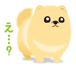 The tiny Pomeranian puppy sticker #2478213