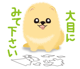 The tiny Pomeranian puppy sticker #2478216