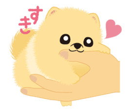 The tiny Pomeranian puppy sticker #2478219