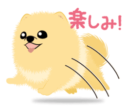 The tiny Pomeranian puppy sticker #2478221