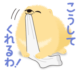 The tiny Pomeranian puppy sticker #2478225