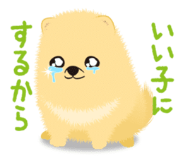 The tiny Pomeranian puppy sticker #2478226