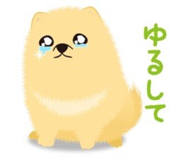 The tiny Pomeranian puppy sticker #2478227