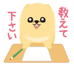 The tiny Pomeranian puppy sticker #2478229