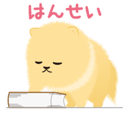 The tiny Pomeranian puppy sticker #2478232