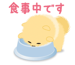 The tiny Pomeranian puppy sticker #2478236