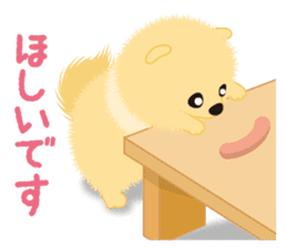 The tiny Pomeranian puppy sticker #2478238