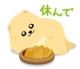 The tiny Pomeranian puppy sticker #2478242