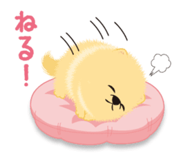The tiny Pomeranian puppy sticker #2478246