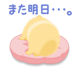 The tiny Pomeranian puppy sticker #2478247