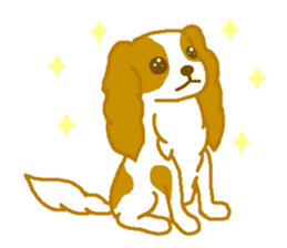 Loose Cute Cavalier King Charles Spaniel sticker #2480488