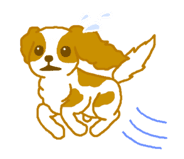 Loose Cute Cavalier King Charles Spaniel sticker #2480494