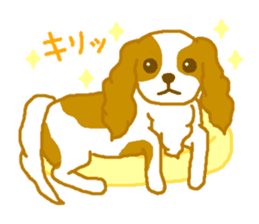 Loose Cute Cavalier King Charles Spaniel sticker #2480510