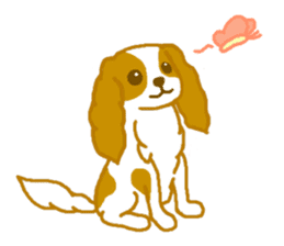 Loose Cute Cavalier King Charles Spaniel sticker #2480521