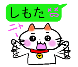 Eye of the cat sticker #2480720