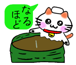 Eye of the cat sticker #2480727