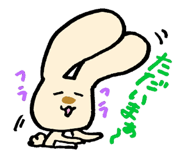 Rabbi's everyday sticker #2482643