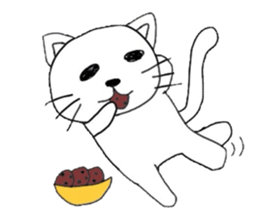 She and sometimes bear and cat sticker #2485470