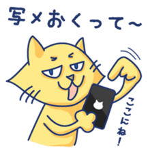 Yellow cat! He is punch! sticker #2488202
