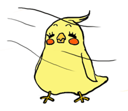 Cute cockatiels sticker #2488233