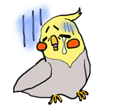 Cute cockatiels sticker #2488240