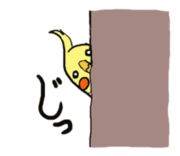Cute cockatiels sticker #2488244