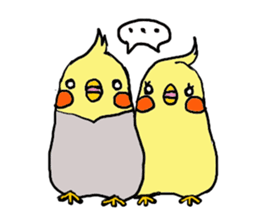 Cute cockatiels sticker #2488254