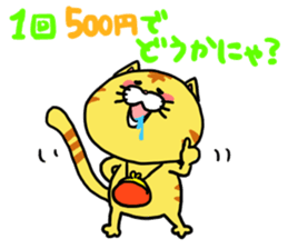 Poor cat sticker #2491274