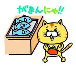 Poor cat sticker #2491289