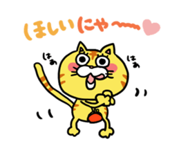 Poor cat sticker #2491295