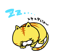 Poor cat sticker #2491297