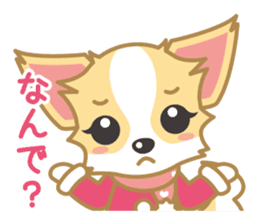 Cute Chihuahua Sticker Fall version sticker #2493233